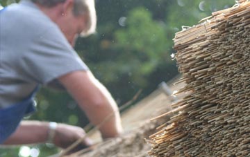 professional Weston Under Lizard thatchers