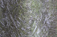 Weston Under Lizard fibreglass roof work